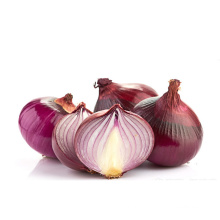 Bulk Wholesale Natural Indian Fresh Onion for Export